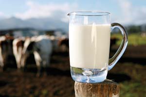 
Readers suggest reasons from health to money as to why U.S. states so strictly regulate (or prohibit) raw milk sales.
